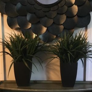 2 brand new beautiful or artificial plants.